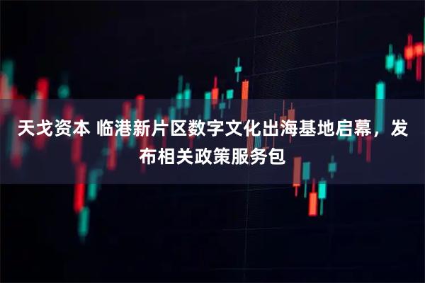 天戈资本 临港新片区数字文化出海基地启幕，发布相关政策服务包