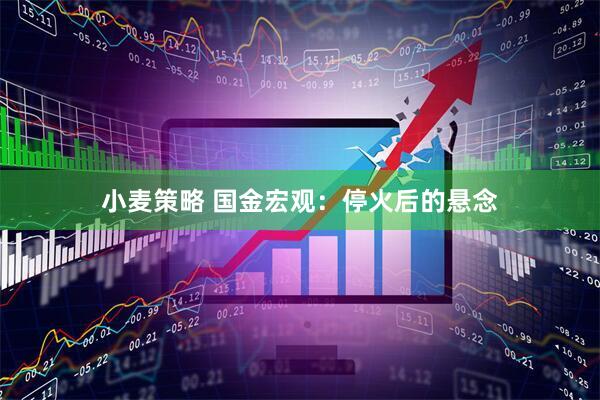 小麦策略 国金宏观：停火后的悬念